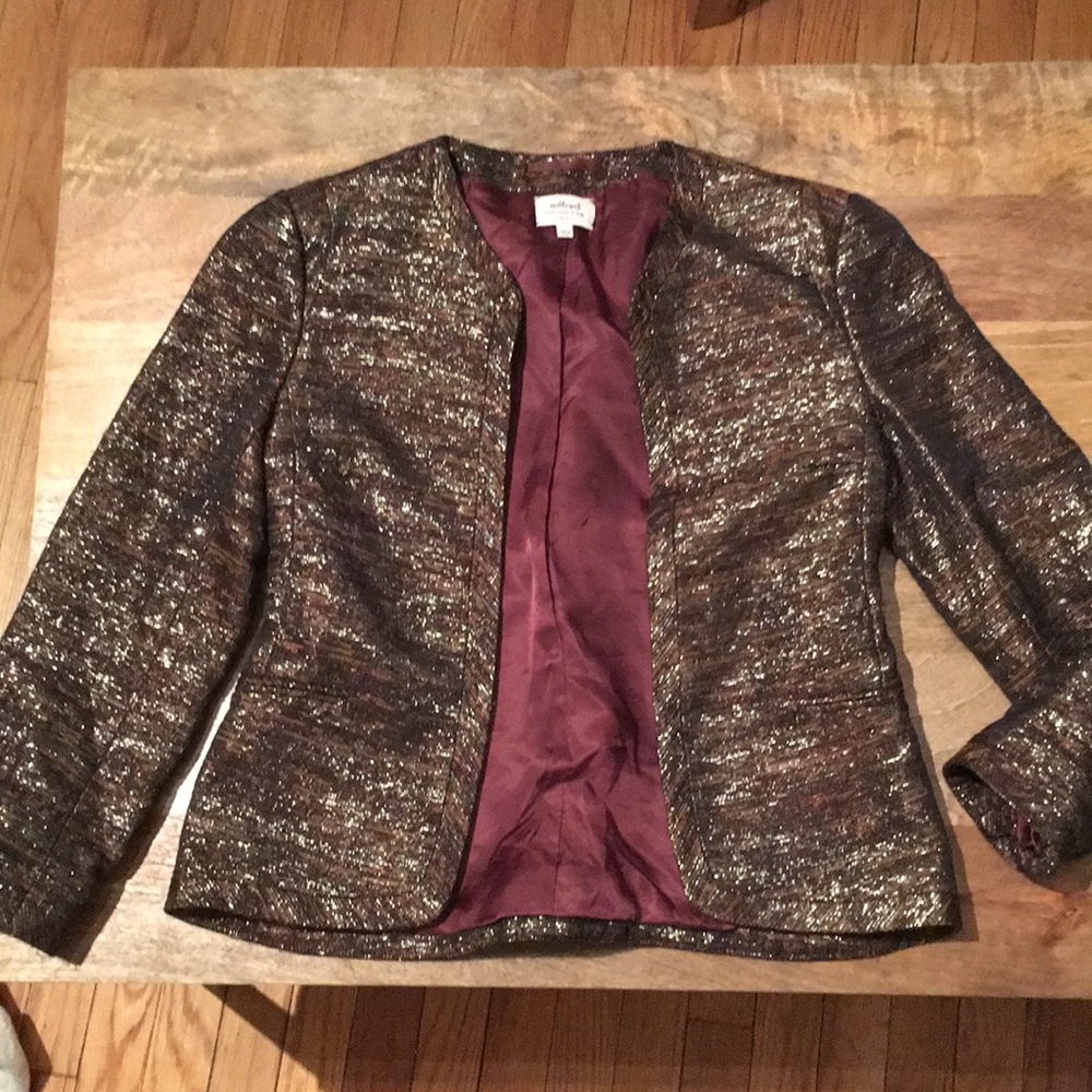Aritzia Wilfred Exquis Blazer